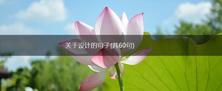 关于设计的句子(共60句),第1张