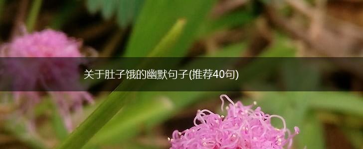 关于肚子饿的幽默句子(推荐40句),第1张