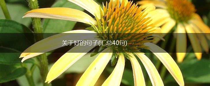 关于好的句子(汇总40句),第1张