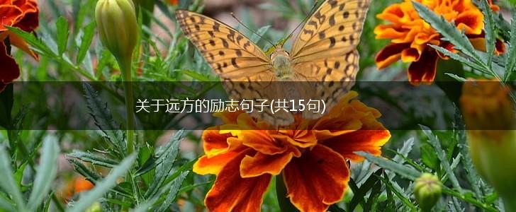关于远方的励志句子(共15句),第1张