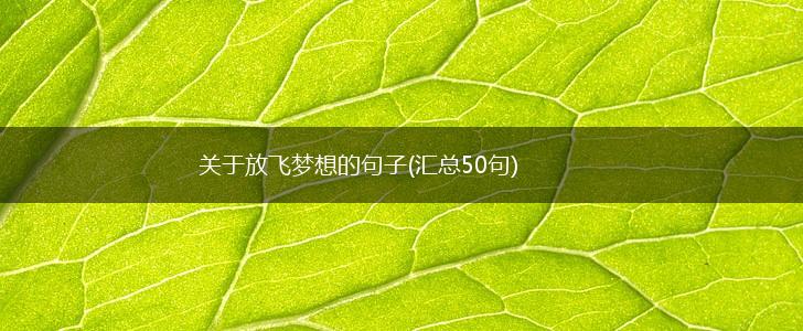 关于放飞梦想的句子(汇总50句),第1张