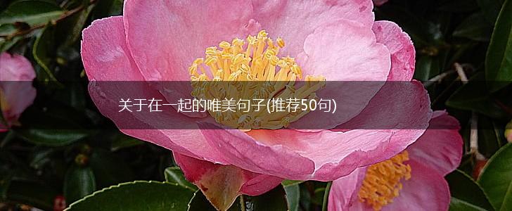 关于在一起的唯美句子(推荐50句),第1张