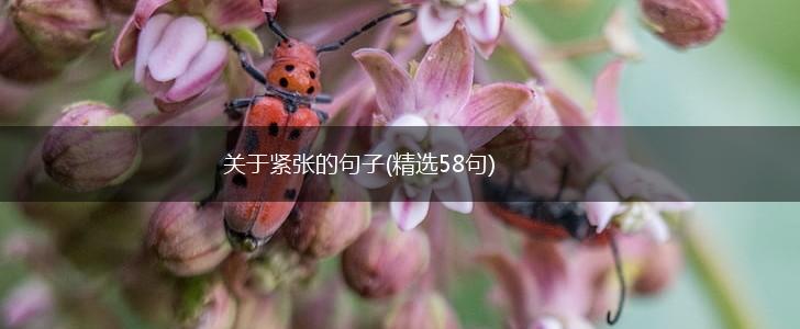 关于紧张的句子(精选58句),第1张
