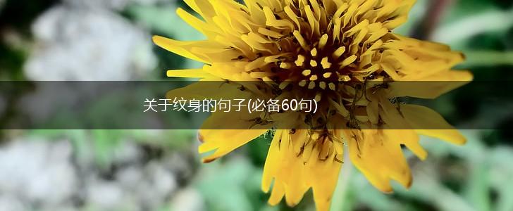 关于纹身的句子(必备60句),第1张