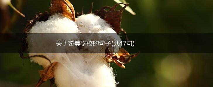 关于赞美学校的句子(共47句),第1张