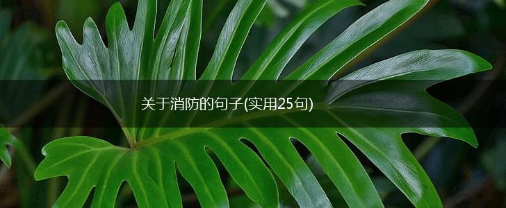 关于消防的句子(实用25句),第1张