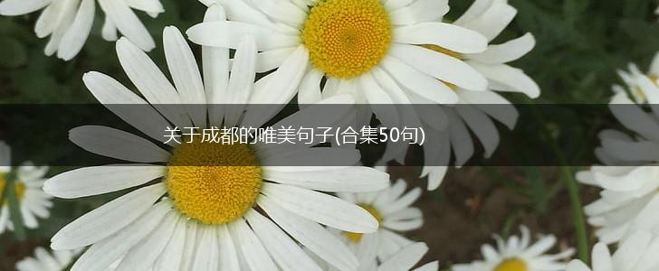 关于成都的唯美句子(合集50句),第1张