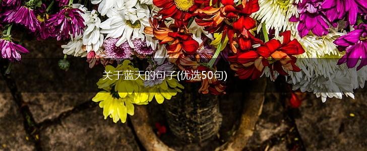 关于蓝天的句子(优选50句),第1张