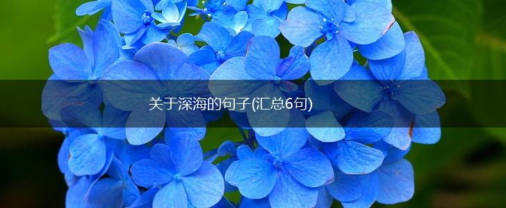 关于深海的句子(汇总6句),第1张