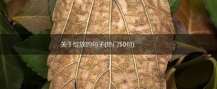 关于绽放的句子(热门50句),第1张