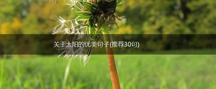 关于太阳的优美句子(推荐30句),第1张