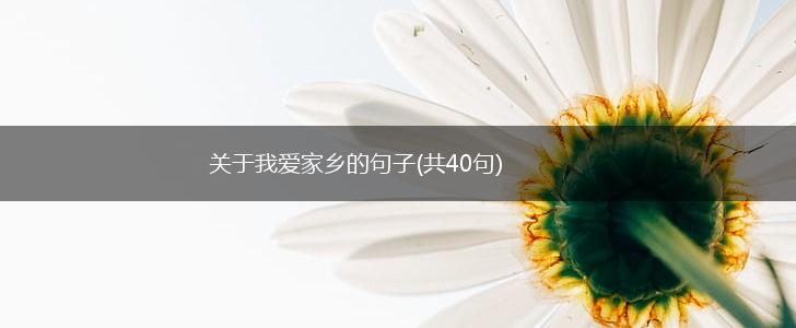 关于我爱家乡的句子(共40句),第1张
