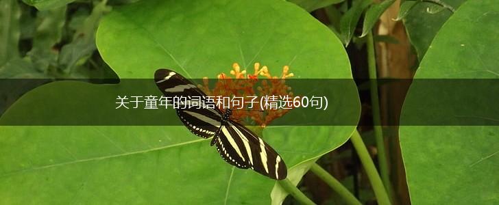 关于童年的词语和句子(精选60句),第1张