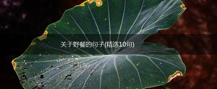 关于野餐的句子(精选10句),第1张