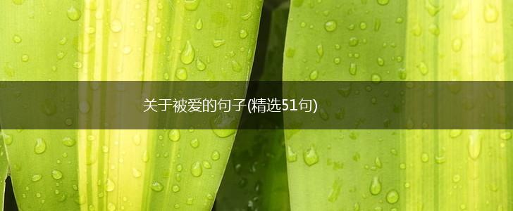 关于被爱的句子(精选51句),第1张
