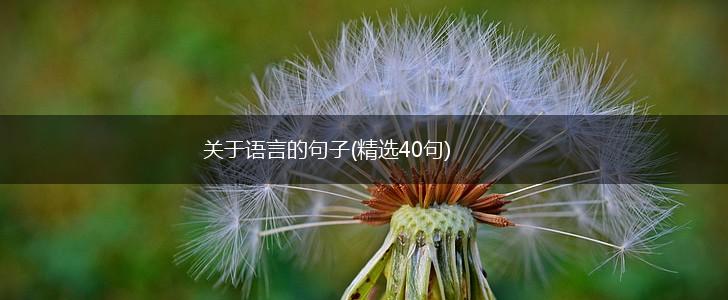 关于语言的句子(精选40句),第1张