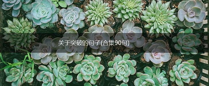 关于突破的句子(合集90句),第1张