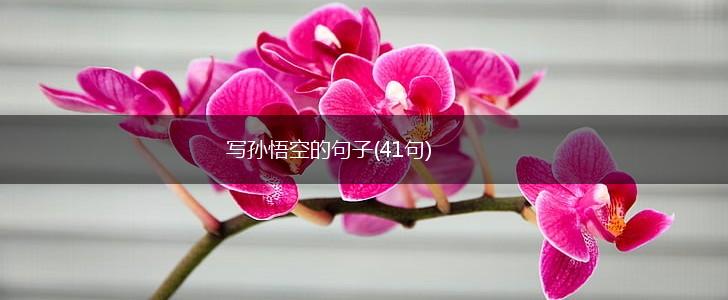 写孙悟空的句子(41句),第1张
