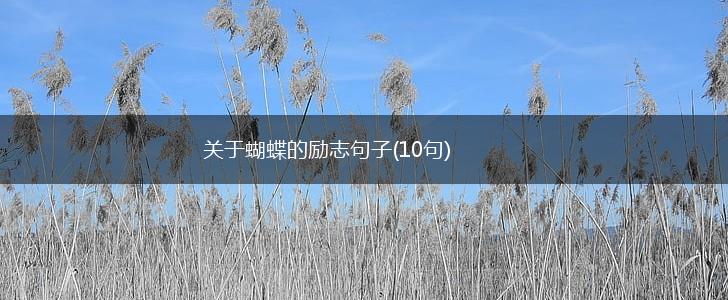 关于蝴蝶的励志句子(10句),第1张