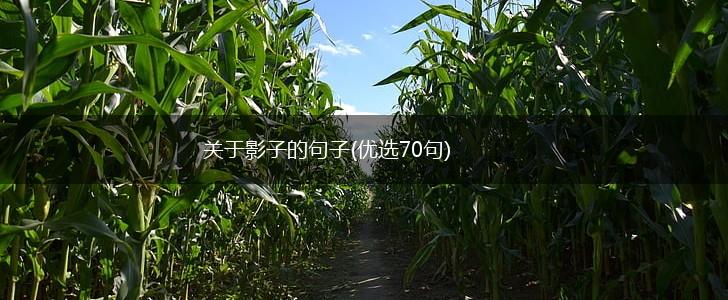 关于影子的句子(优选70句),第1张