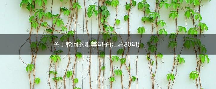 关于轮回的唯美句子(汇总80句),第1张