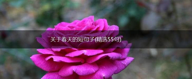 关于春天的短句子(精选55句),第1张