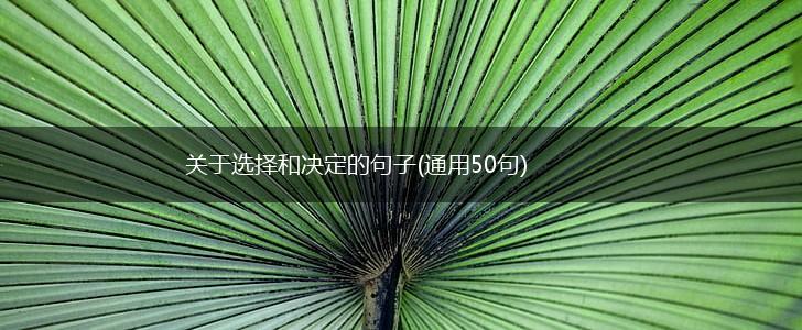 关于选择和决定的句子(通用50句),第1张