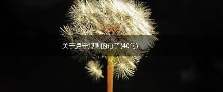 关于遵守规则的句子(40句),第1张