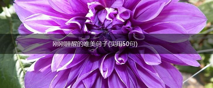 刚刚睡醒的唯美句子(实用50句),第1张