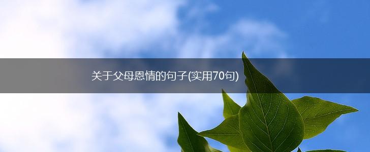 关于父母恩情的句子(实用70句),第1张
