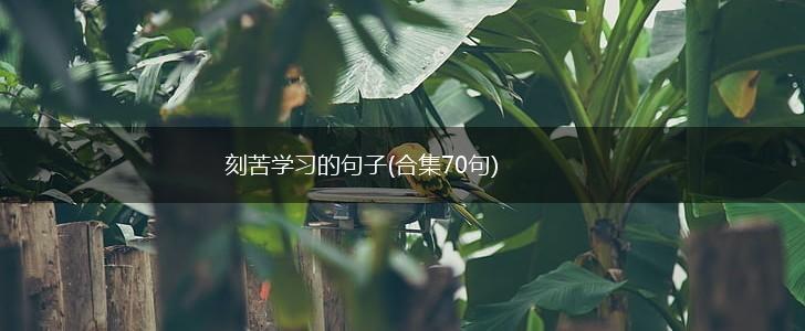 刻苦学习的句子(合集70句),第1张