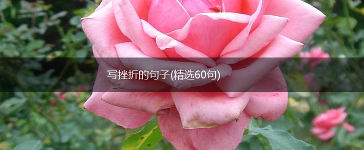 写挫折的句子(精选60句),第1张