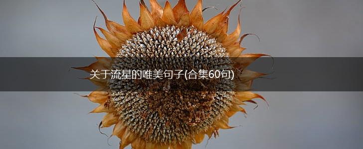 关于流星的唯美句子(合集60句),第1张
