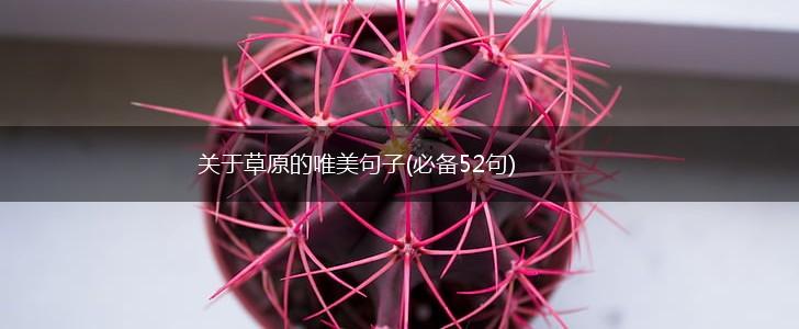 关于草原的唯美句子(必备52句),第1张
