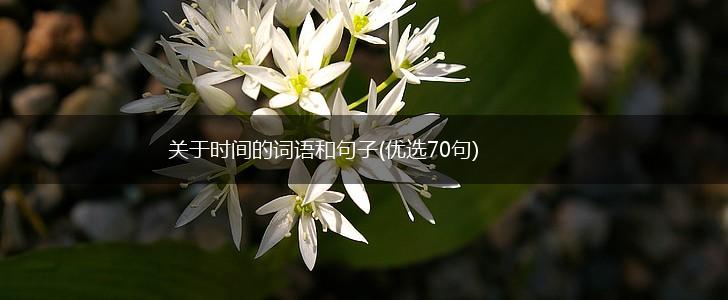 关于时间的词语和句子(优选70句),第1张