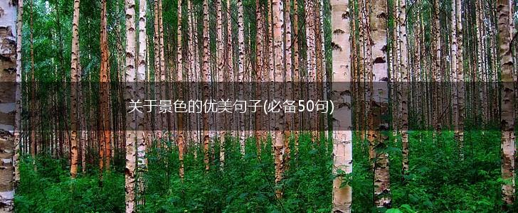 关于景色的优美句子(必备50句),第1张