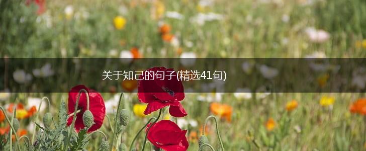 关于知己的句子(精选41句),第1张