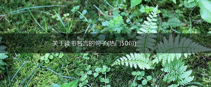关于读书名言的句子(热门50句),第1张