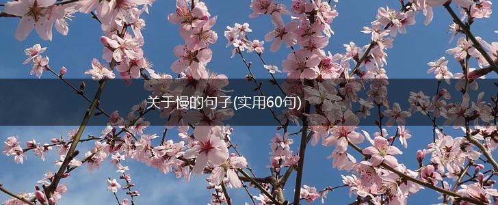 关于慢的句子(实用60句),第1张