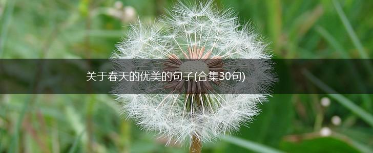 关于春天的优美的句子(合集30句),第1张
