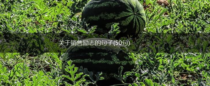 关于销售励志的句子(50句),第1张