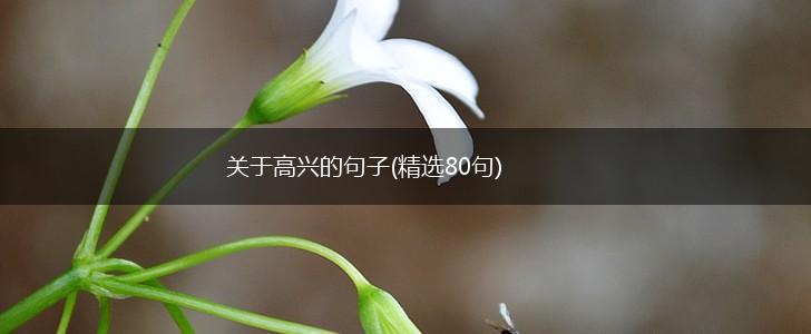 关于高兴的句子(精选80句),第1张