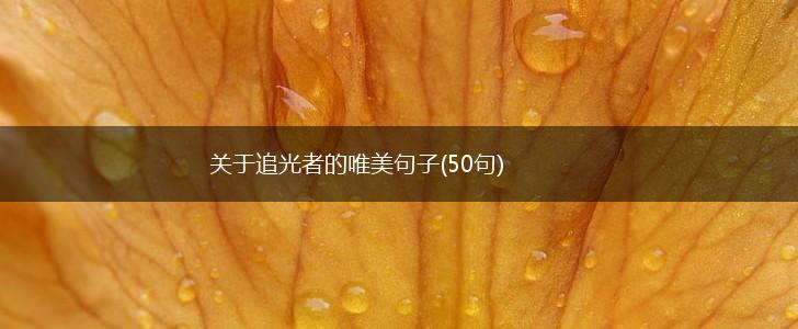 关于追光者的唯美句子(50句),第1张