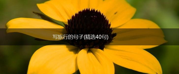 写旅行的句子(精选40句),第1张