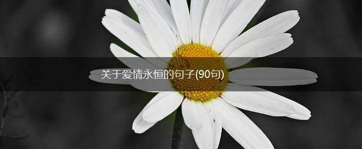 关于爱情永恒的句子(90句),第1张