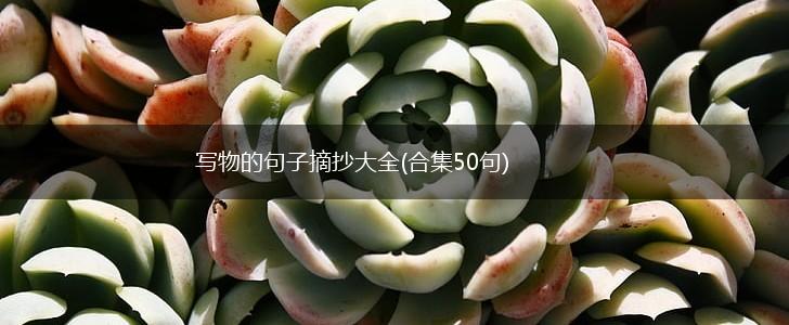 写物的句子摘抄大全(合集50句),第1张