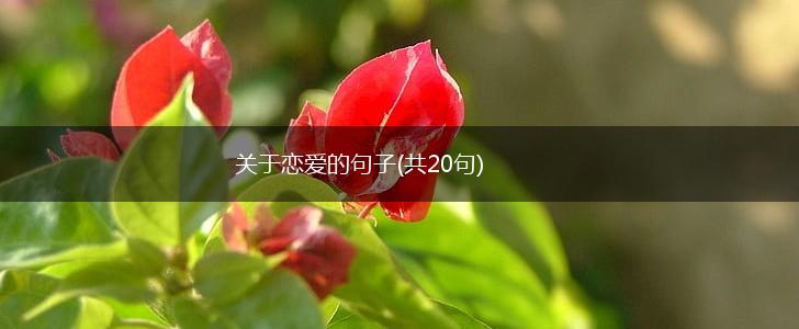 关于恋爱的句子(共20句),第1张