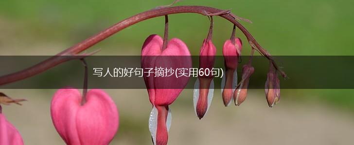 写人的好句子摘抄(实用60句),第1张