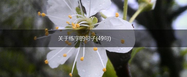 关于练字的句子(49句),第1张