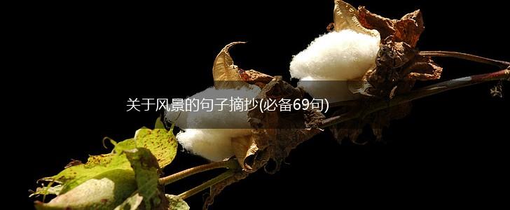 关于风景的句子摘抄(必备69句),第1张